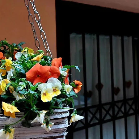 Nel Vicolo Dei Baci - Al Bacio * Spello
