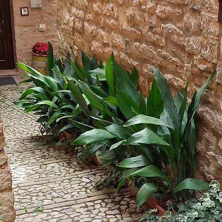 Nel Vicolo Dei Baci - Al Bacio דירה ספלו