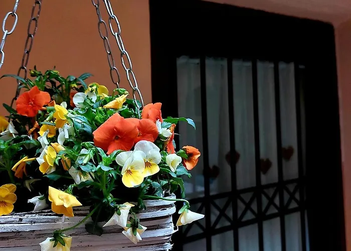 Nel Vicolo Dei Baci - Al Bacio * Spello